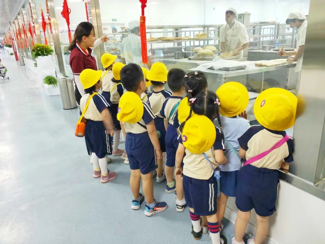 社会领域